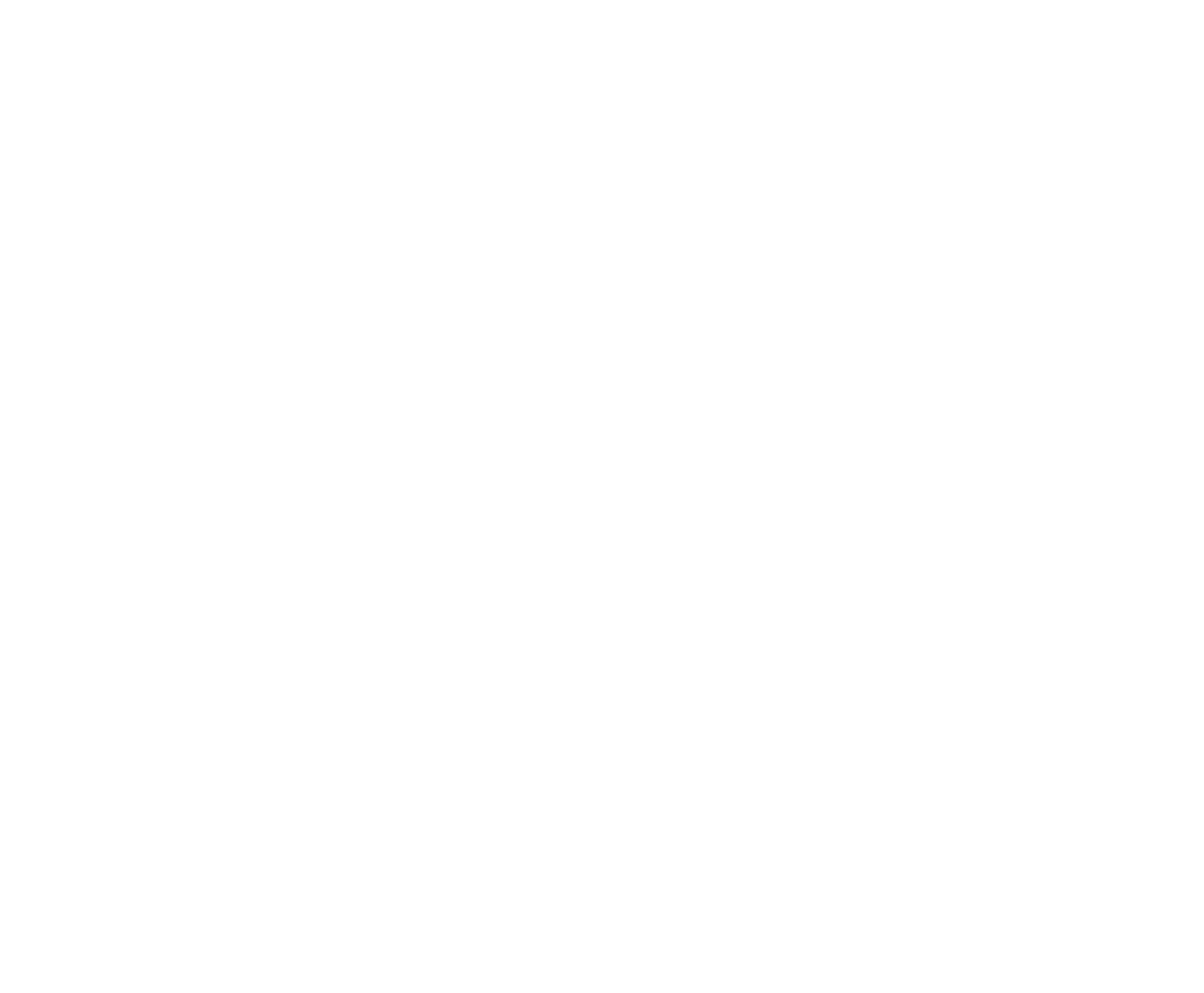 SEKI001P4 MPV Logo White v2